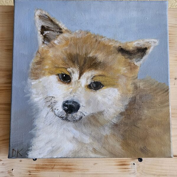 Akita Inu.   40 x 40 cm. Gleznots uz pasūtījumu