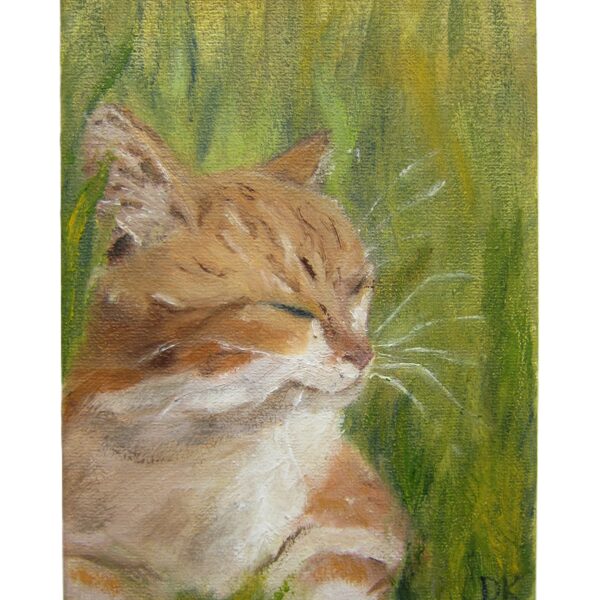 Redžijs.  13 x 18 cm. Pasūtījuma darbs, Nav pieejams