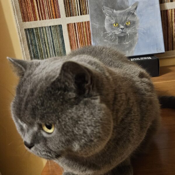 Elvis sargā savu portretu