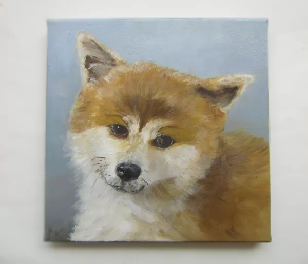 Akitas portrets